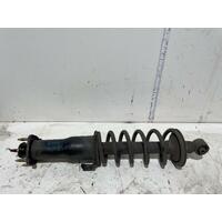 Lexus GS300 Right Rear Strut JZS160 10/1997-12/2004