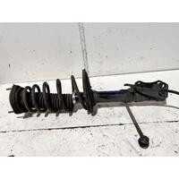 Toyota CAMRY Strut ACV50 Left Rear 05/15-10/17