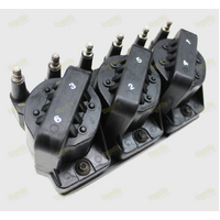 Holden Commodore Coil Pack With DFI Module 3.8 V6 ECOTEC VS VT VU VY VX WH