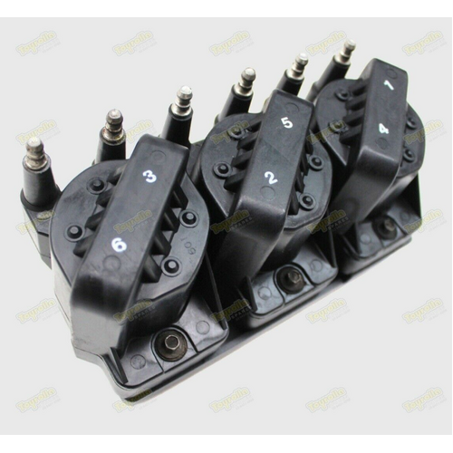 Holden Commodore Coil Pack With DFI Module 3.8 V6 ECOTEC VS VT VU VY VX WH